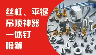 丝杠 平键  喉箍  吊顶  一体钉