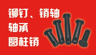 铆钉  销轴   圆柱销   轴承  钻尾  微标
